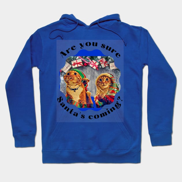 Are you sure Santa's Coming? Hoodie by PersianFMts